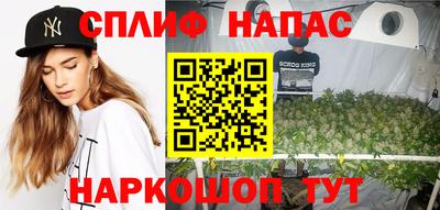молекула духа Тверь